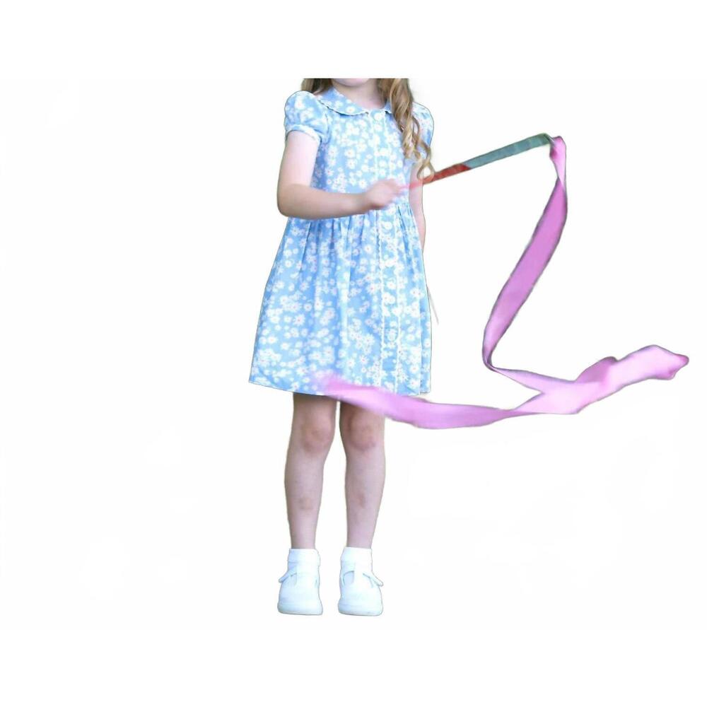 NEW RACHEL RILEY girls' daisy button front dress in blue